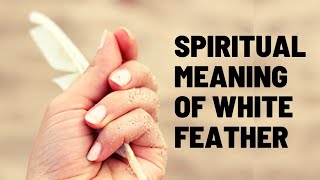 Spiritual Meaning Of White Feather white feather [upl. by Arobed]