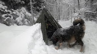 3 Days WINTER CAMPING in Blizzard With My Dog 13° wilderness survival Snowstorm Bushcraft [upl. by Brody]