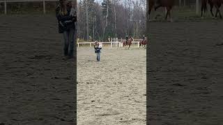 First time cantering bareback on docccc horse [upl. by Tadashi]