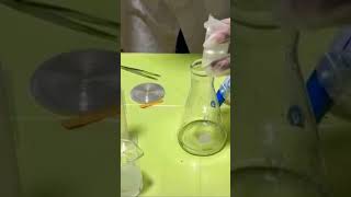 Reaction of Magnesium with Hydrochloric acid [upl. by Jeffrey]