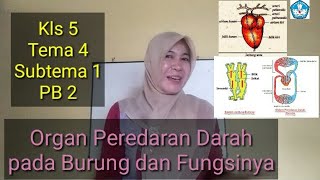 Organ Peredaran Darah pada Burung dan Fungsinya Kls 5 Tema 4 Subtema 1 PB 2 [upl. by Feilak951]