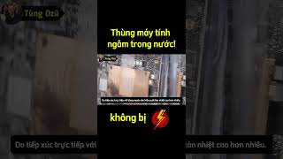 Thùng máy tính ngâm trong nước tại sao không bị chập điện [upl. by Sinaj784]