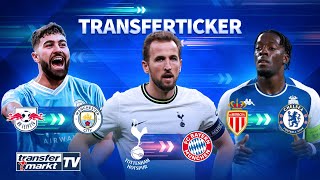 Kane Bayern stellt Tottenham Ultimatum  Gvardiol vor CityDeal  Disasi zu Chelsea  TRANSFERMARKT [upl. by Lebatsirc475]