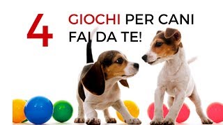 4 giochi per cani fai da te divertenti e stimolanti x memoria e olfatto [upl. by Cromwell]