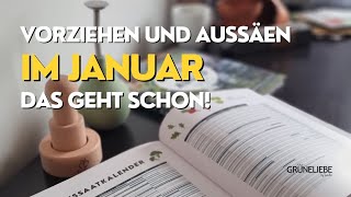 Vorziehen und aussäen im Januar  Das geht schon [upl. by Morvin]