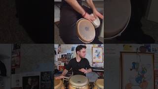 Congas and Bongos groove shorts [upl. by Norrej225]