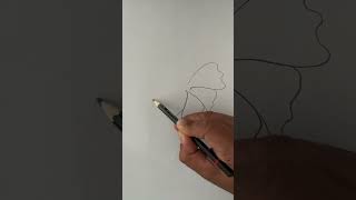 flower drawing designs very easy with pencil [upl. by Ramel]