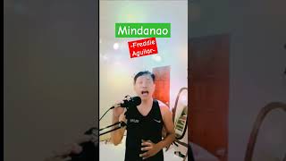 Mindanao Freddie Aguilar music musica cover guitar love talentsinger talent coversong [upl. by Bail]