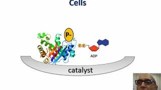 ATP amp metabolism [upl. by Nesmat]