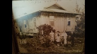 History of Okinawans in Hawaii [upl. by Dyraj]