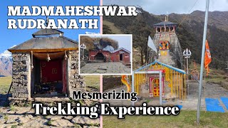 MADMAHESHWAR • RUDRANATH • MESMERIZING TREKKING EXPERIENCE [upl. by Hserus]