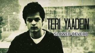 TERI YAADEIN  Slowed  Reverb  Shrey Singhal ANZAN3008 [upl. by Harrat]