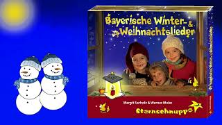 Bayerische Winter amp Weihnachtslieder  Kinderlieder Sternschnuppe  REINHÖREN [upl. by Aret856]