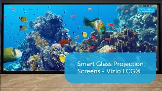 Smart Glass Projection Screens  Vizio LCG® [upl. by Wilfred384]