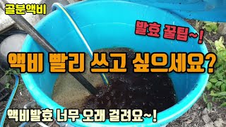 직접만든 액비 단기간에 사용 할 수 있는 방법은 없을까 액비발효꿀팁 골분액비 생선액비 인산가리액비 등 퇴비차와 gcm미생물 발효와 비슷합니다 [upl. by Kirima]