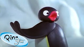 Adventures of Pingu 🐧  Pingu  Official Channel  Cartoons For Kids [upl. by Boigie]