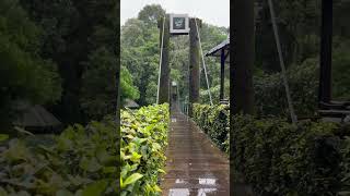 Vythri resort wayanad vythri connect fun travel [upl. by Artimed]