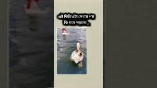 এটা দেখে কি শিখলেন🥲trending viralvideo viralshorts reels foryou trendingshorts tiktok song [upl. by Darin414]