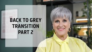 Going Back to Grey Hair Transition Service Part 2  Goldwell Education Plus [upl. by Nnaeinahpets]