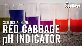 The Sci Guys Science at Home  SE2  EP4 Red Cabbage pH Indicator  Acid Base Indicator [upl. by Eineeuq218]