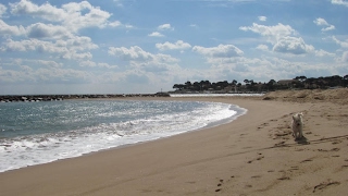 Esclamandes Beach in SaintAygulf  France [upl. by Atinrehs833]