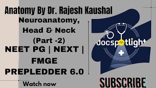 3NeuroanatomyHead amp NeckPart 2 Anatomy RR60📖📚by Dr Rajeshkaushal youtube neetpgpreperation [upl. by Xymenes526]