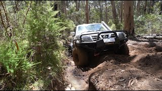 Carnage in Tallarook  TB48 vs 65L Turbo Diesel [upl. by Winn]