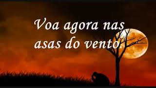 Elias silva livre para voar com LETRA [upl. by Arella]