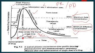 Plasma Drug Concentration –Time Profile [upl. by Aicnerolf867]