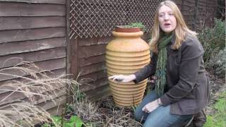 Gardening Tips Cutting Back Grasses [upl. by Lilian]