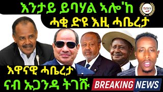 Nov 122024 እንታይ ይባሃል ኣሎከ ሓቂ ድዩ እዚ ሓቤረታ እዋናዊ ሓቤረታ [upl. by Ahasuerus]