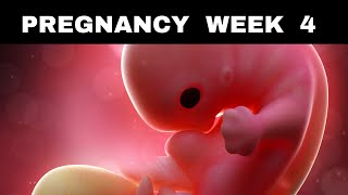 Pregnancy Week 4 Symptoms Changes and Babys Development [upl. by Korella]