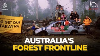 The Activists Fighting to Protect Australia’s Ancient Forests  101 East [upl. by Chien]