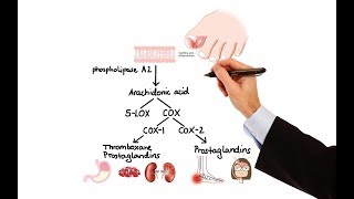 MOAs of Acetaminophen amp NSAIDs  TYLENOL® Professional [upl. by Fanya611]