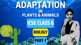 Adaptation in Plants amp Animals  ICSE CLASS 6 BIOLOGY  PART1 [upl. by Tuesday]