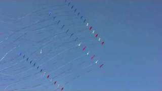 Bay Area Sundowners Stunt kite team in France  2008 [upl. by Inerney590]