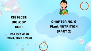 Chapter 6 Plant Nutrition Part 2 IGCSE paper Biology 0610 [upl. by Alenoel465]