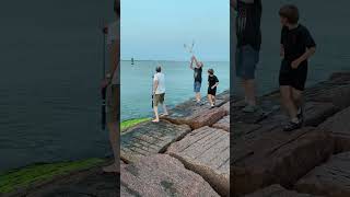 Port Aransas jetty fishing bird takes lure Port Aransas Pass [upl. by Namhar]