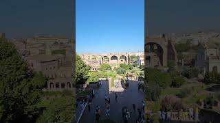 The view from Palatine Hill rome travel shorts shortsfeed shortvideo trending italy [upl. by Ardnoik]