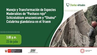 Manejo y Transformación de Especies Maderables de quotPashaco rojoquot Schizolobium amazonicum y quotShainaquot [upl. by Airtemak]