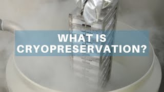 How Cryopreservation Works [upl. by Nelag]