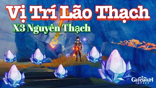 Tìm Lão Thạch Vực Đá Sâu Genshin Impact l Find Archaic stone The Chasm Genshin Impact [upl. by Nafets]