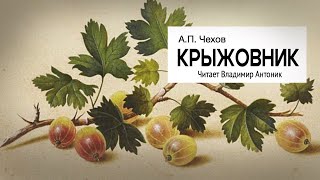 «Крыжовник» АПЧехов Читает Владимир Антоник Аудиокнига [upl. by Nirual]