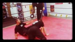 Krav Maga  Attacking the target Fighting Game [upl. by Phillida]