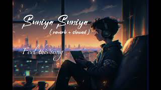 Suniya suniya rata lofi song  reverb  slowed music lofimusic [upl. by Enelad583]