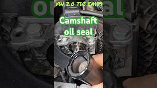 The EPIC life of a mechanic 89 shorts oilseal enginerepair [upl. by Garson]