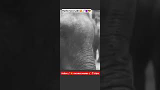 Haathi 👀🔥🍿mere Saathi movie clips🔗😈 shortvideo movie action music movieshorts hathimeresathi [upl. by Ailuy]