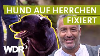 Wenn der Hund Distanz braucht  Hunde verstehen S01E05  Tierratgeber  WDR [upl. by Eelesor]