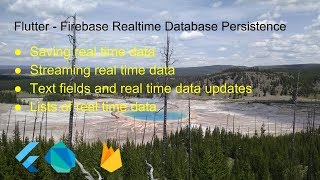 Flutter  Firebase Realtime Database Persistence [upl. by Langan]