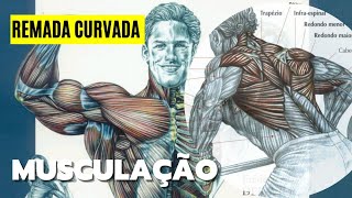 PRA QUE SERVE a REMADA CURVADA Musculação [upl. by Ahsataj526]